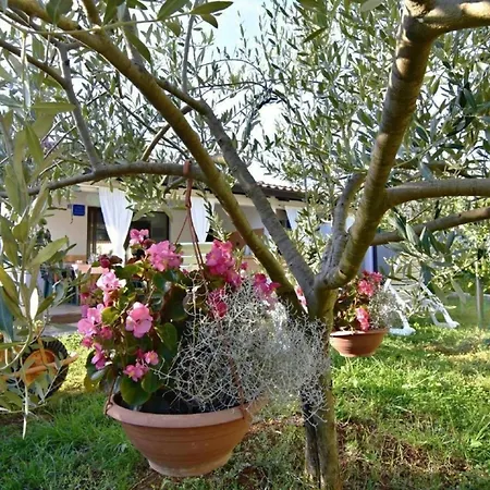 Ferienwohnung In Mit Grill, Garten Und Terrasse *
